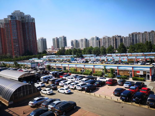 二手车全景扫描 转型的 阵痛 北京二手车经销商生存现状透视